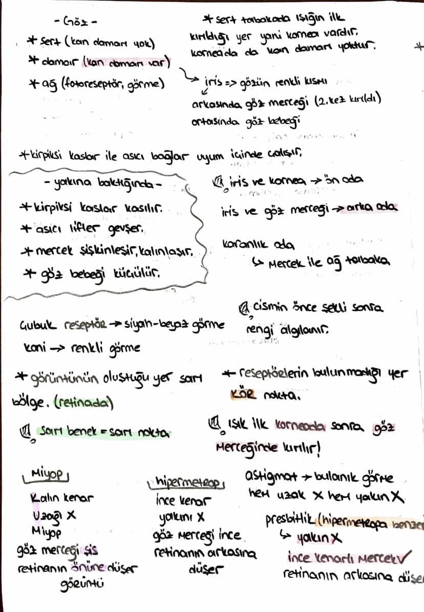 -safra kesesi -
* Safra SIVISINI depolar.
* kolesistokinin 12 parmak bağırsağı
üretir.
içinde;
-51
- kolesterol
-Safra pigmenti - safra Hızl