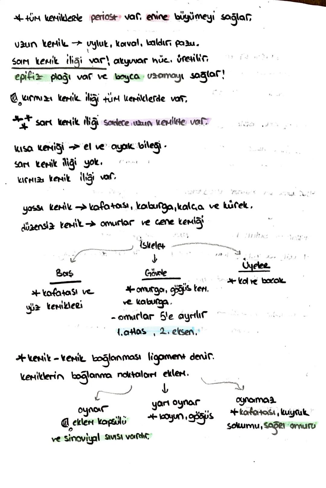 -safra kesesi -
* Safra SIVISINI depolar.
* kolesistokinin 12 parmak bağırsağı
üretir.
içinde;
-51
- kolesterol
-Safra pigmenti - safra Hızl