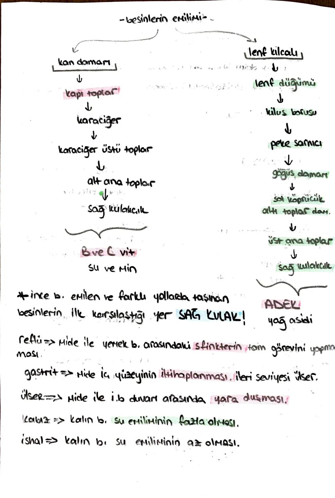 -safra kesesi -
* Safra SIVISINI depolar.
* kolesistokinin 12 parmak bağırsağı
üretir.
içinde;
-51
- kolesterol
-Safra pigmenti - safra Hızl