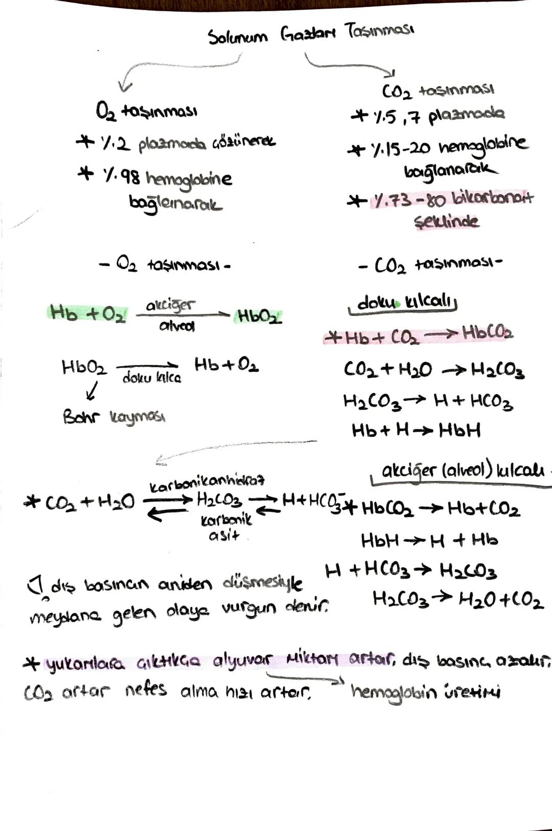 -safra kesesi -
* Safra SIVISINI depolar.
* kolesistokinin 12 parmak bağırsağı
üretir.
içinde;
-51
- kolesterol
-Safra pigmenti - safra Hızl