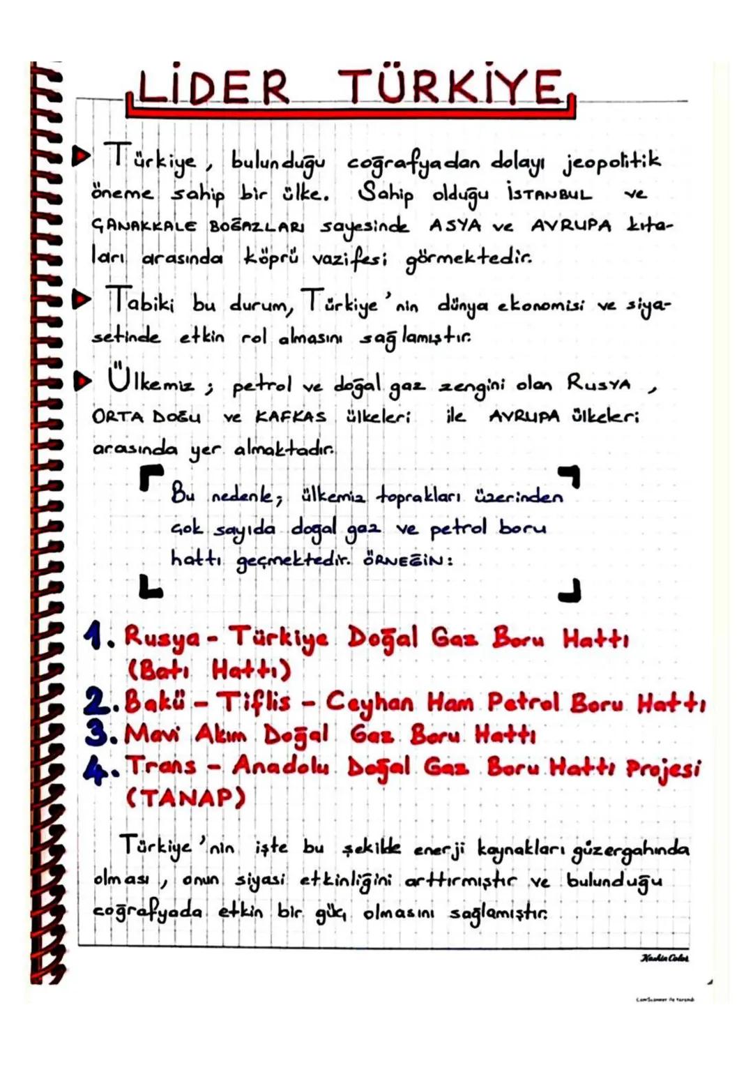 LIDER
TÜRKİYE,
Türkiye, bulunduğu coğrafyadan dolayı jeopolitik
öneme sahip bir ülke. Sahip olduğu İSTANBUL
ve
ÇANAKKALE BOĞAZLARI sayesinde