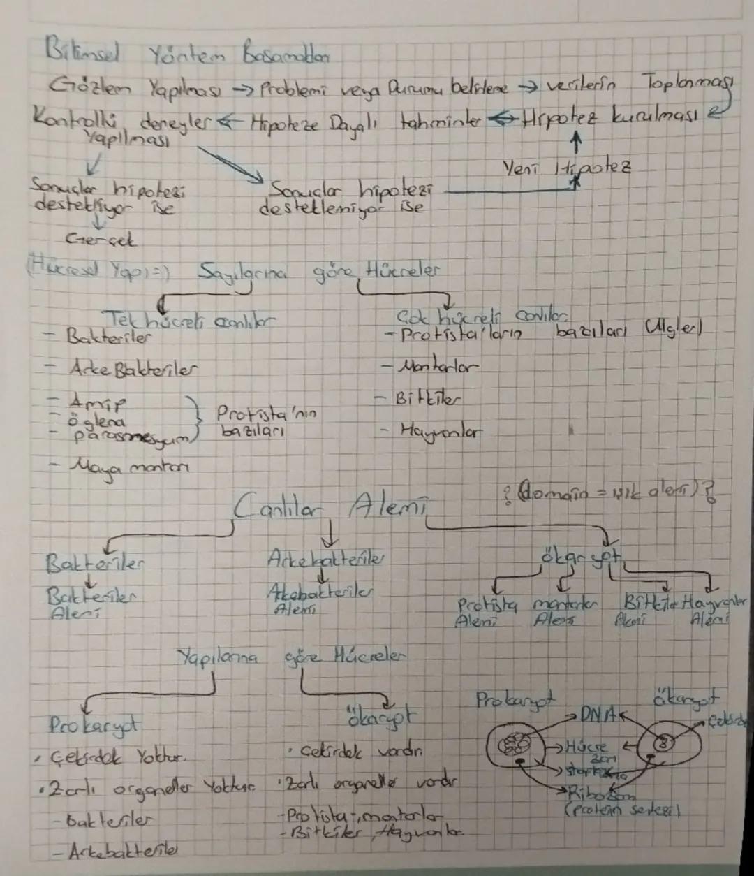 Biyo canlı loji Bilim

Biyoloji Canlıların yapılarını ve işlevlerini inceleyerek yaşamda
doğasının anlaşılmasına yardıma okn bilim dalıdır.
