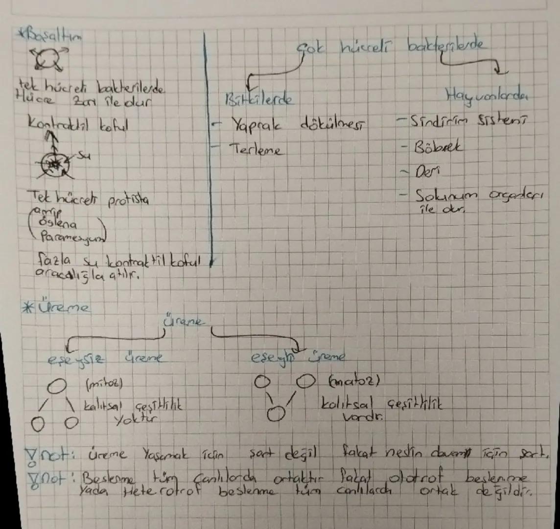 Biyo canlı loji Bilim

Biyoloji Canlıların yapılarını ve işlevlerini inceleyerek yaşamda
doğasının anlaşılmasına yardıma okn bilim dalıdır.
