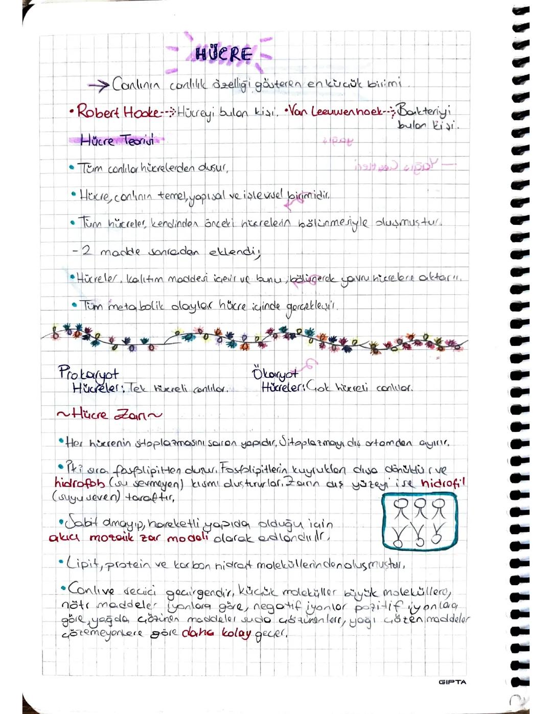 Hücre ve Organeller