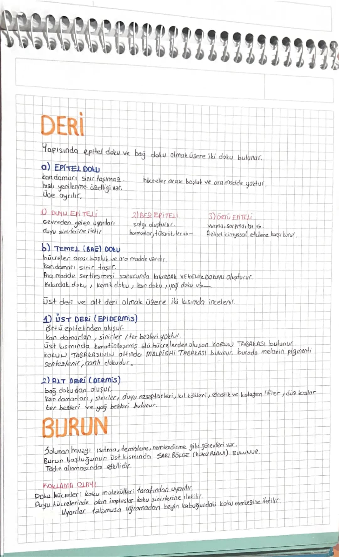 denir
DUYU ORGANLARI
Duyu organlarının yapısında cevredeki uyarıları almaya özelleşmiş yapılara RESEPTOR (almaç)
Koku reseptörleri özelleşmi