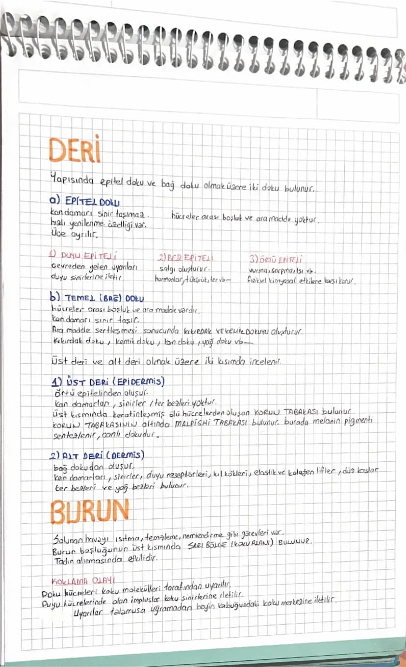 denir
DUYU ORGANLARI
Duyu organlarının yapısında cevredeki uyarıları almaya özelleşmiş yapılara RESEPTOR (almaç)
Koku reseptörleri özelleşmi