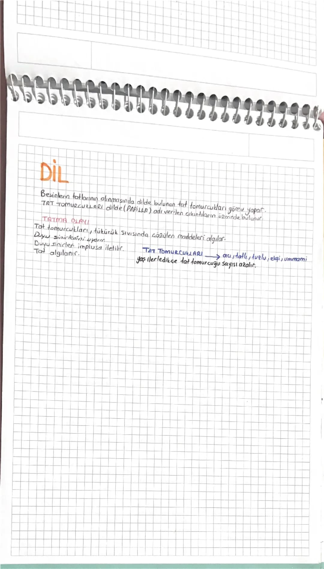 denir
DUYU ORGANLARI
Duyu organlarının yapısında cevredeki uyarıları almaya özelleşmiş yapılara RESEPTOR (almaç)
Koku reseptörleri özelleşmi