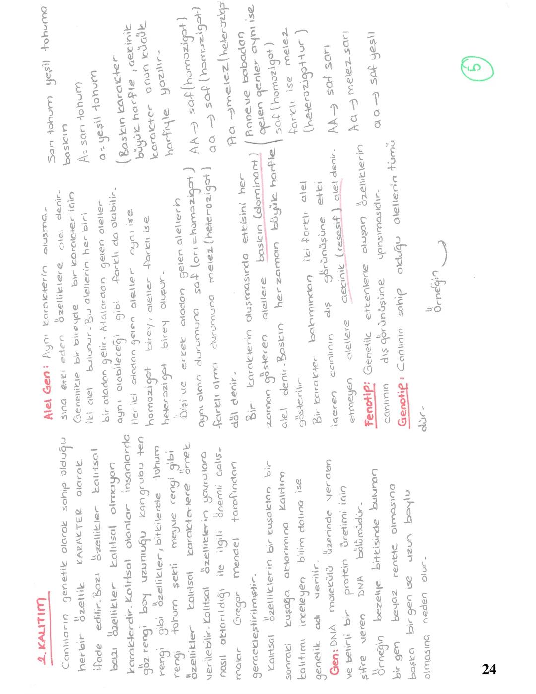 8. SINIF FEN KALITIM