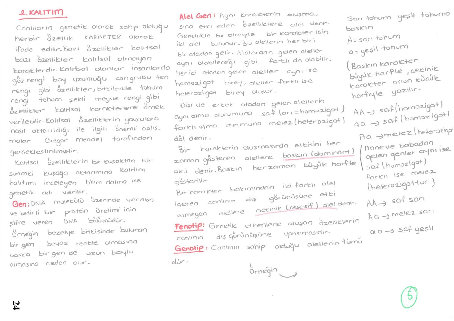 2. KALITIM
Canlıların genetik olarak sahip olduğu
herbir özellik
ifade
olarak
tohum
KARAKTER
edilir. Bazı özellikler kalıtsal
bazı özellikle