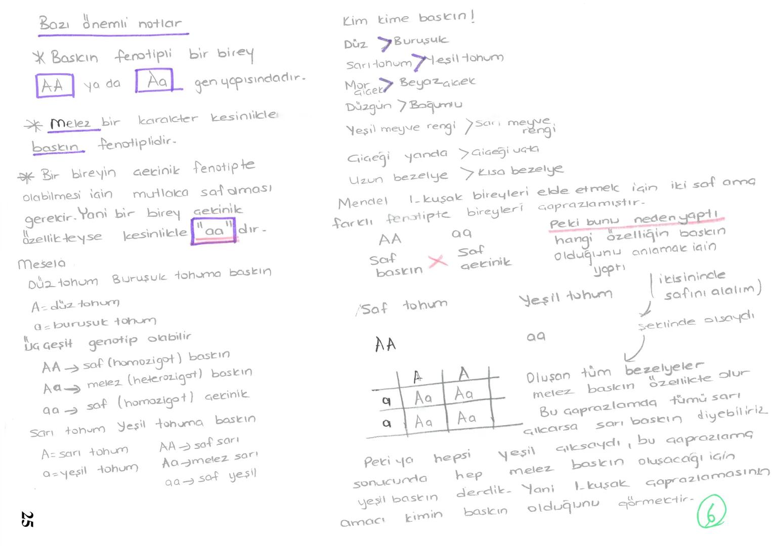 2. KALITIM
Canlıların genetik olarak sahip olduğu
herbir özellik
ifade
olarak
tohum
KARAKTER
edilir. Bazı özellikler kalıtsal
bazı özellikle