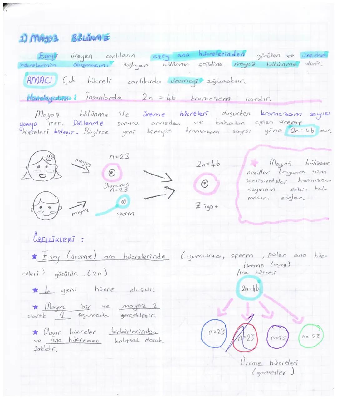 MAYO BÖLÜNME EVRELERT
Mayaz bölünmede de
Ancak
mayoz
bölünmede
NOT: Biri anneden, diğeri
kromozomlar
Hosic.) Mayoz
gelir. Homolog
Lkromozomb