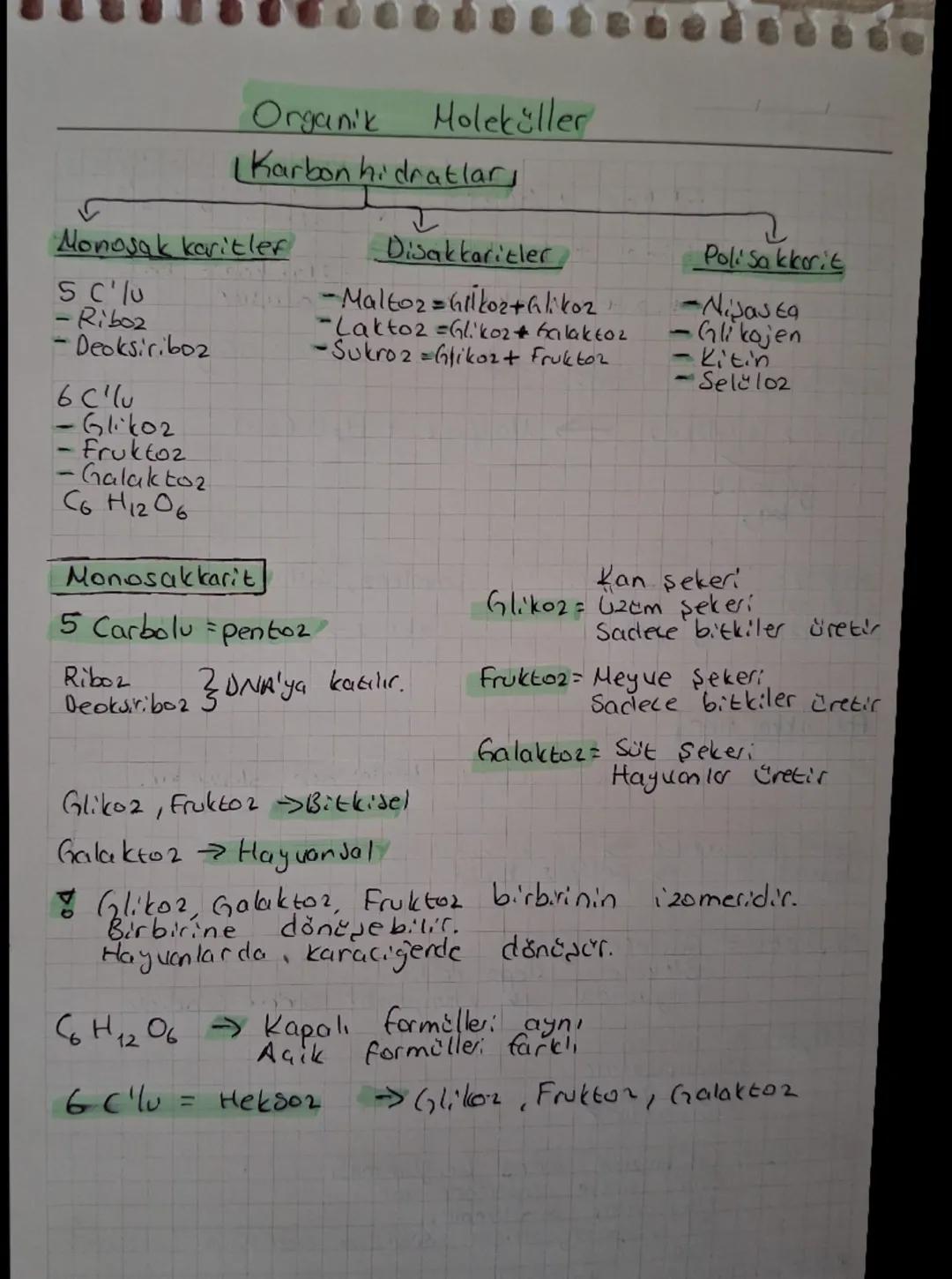 Organik Moleküller
Karbonhidratlar

Monosakkaritler
Disakkaritler
PoliSakkarit
5 C'lu
-Maltoz = Glikoz+Glikoz
-Nijasta
-Riboz
-Laktoz = Glik