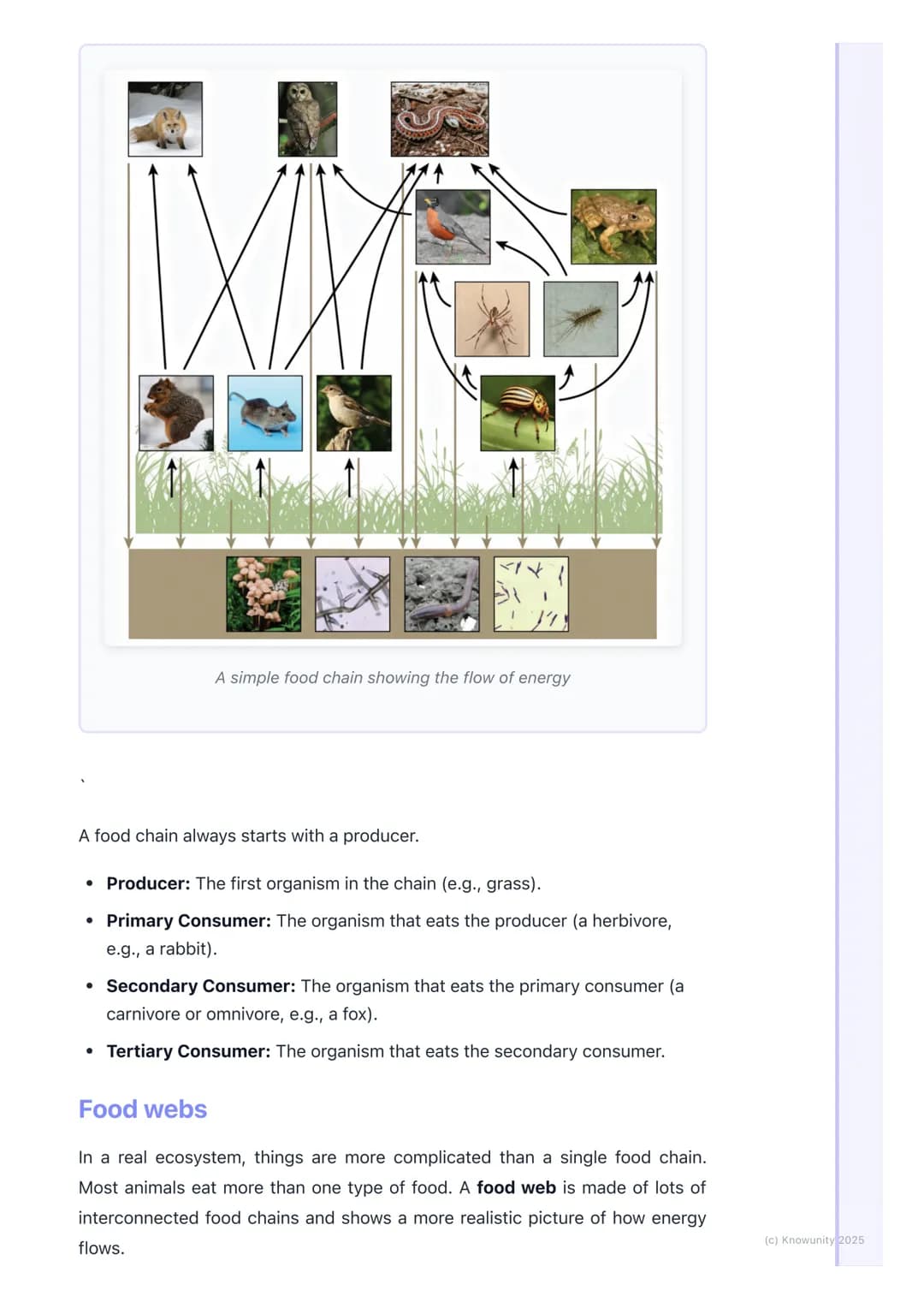 # Ecology and Ecosystems

## An introduction to ecology

Ecology is the study of how living things (organisms) interact with each other
and 