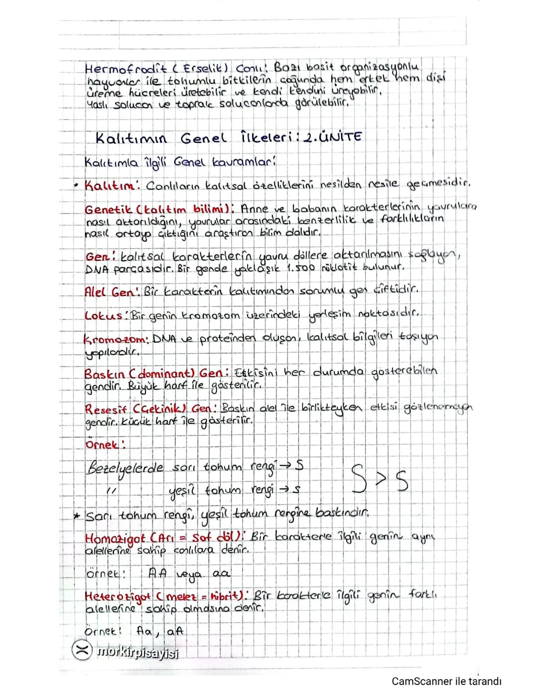 10. SINIF BİYOLOJİ KALITIM 