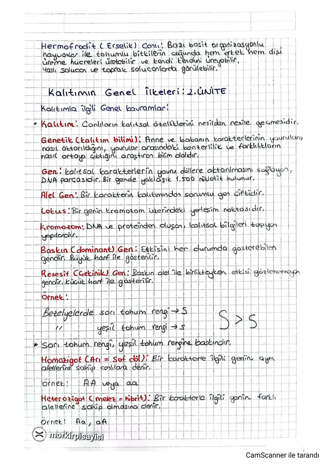 *
Hermofrodit (Erselit) Coll! B021 basit organizasyonlu
hayvanlar ile tohumlu bitkilerin çoğunda hem ertet hem disi
üreme hücreleri üretebil