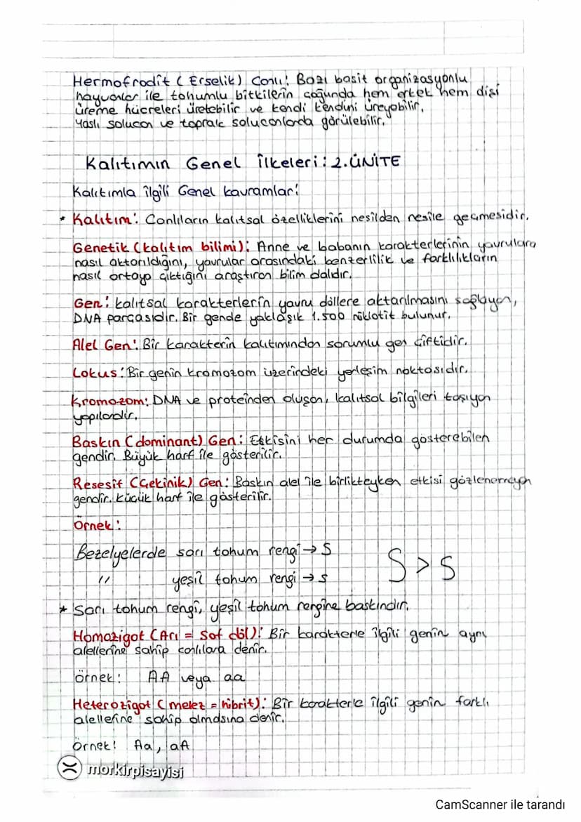 *
Hermofrodit (Erselit) Coll! B021 basit organizasyonlu
hayvanlar ile tohumlu bitkilerin çoğunda hem ertet hem disi
üreme hücreleri üretebil