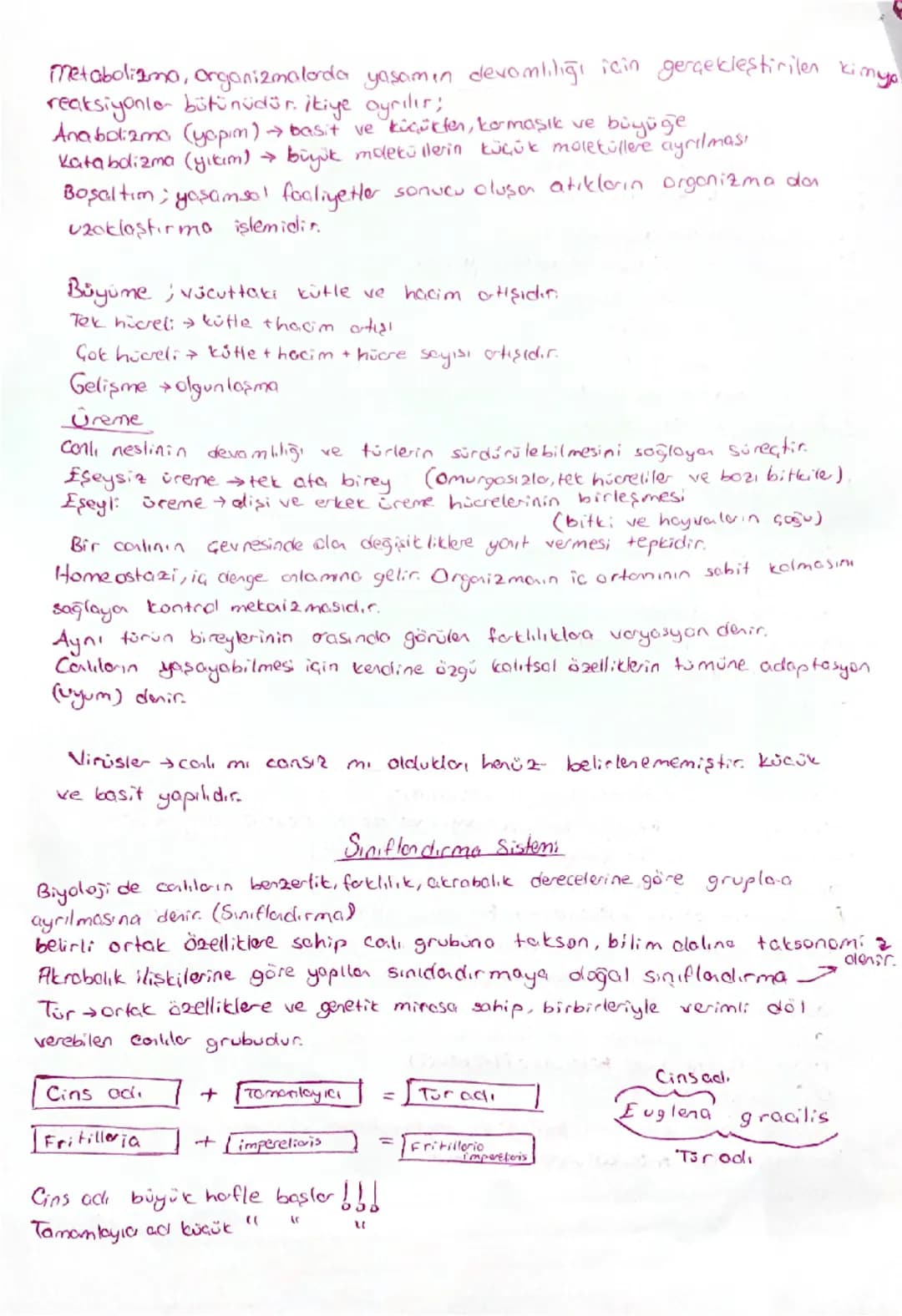 Biyoloji Özet
Biyoloji, canlıların yapıların ve işlevilerini inceleyen bilim dalıdır.
Bilimsel yöntem, bilginin demasi ve anlaşılmasını süre