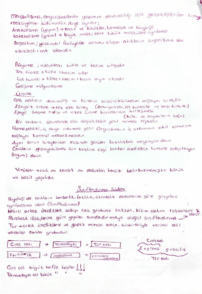 Biyoloji Özet
Biyoloji, canlıların yapıların ve işlevilerini inceleyen bilim dalıdır.
Bilimsel yöntem, bilginin demasi ve anlaşılmasını süre