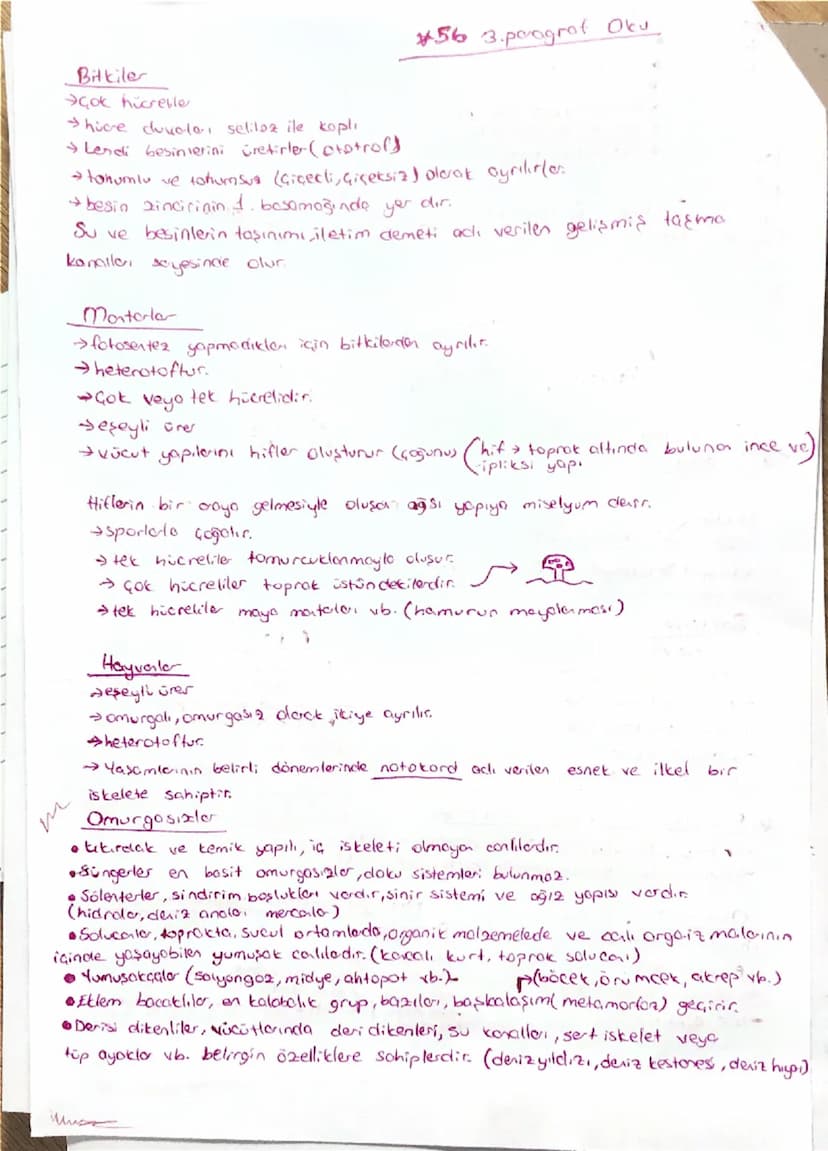 Biyoloji Özet
Biyoloji, canlıların yapıların ve işlevilerini inceleyen bilim dalıdır.
Bilimsel yöntem, bilginin demasi ve anlaşılmasını süre
