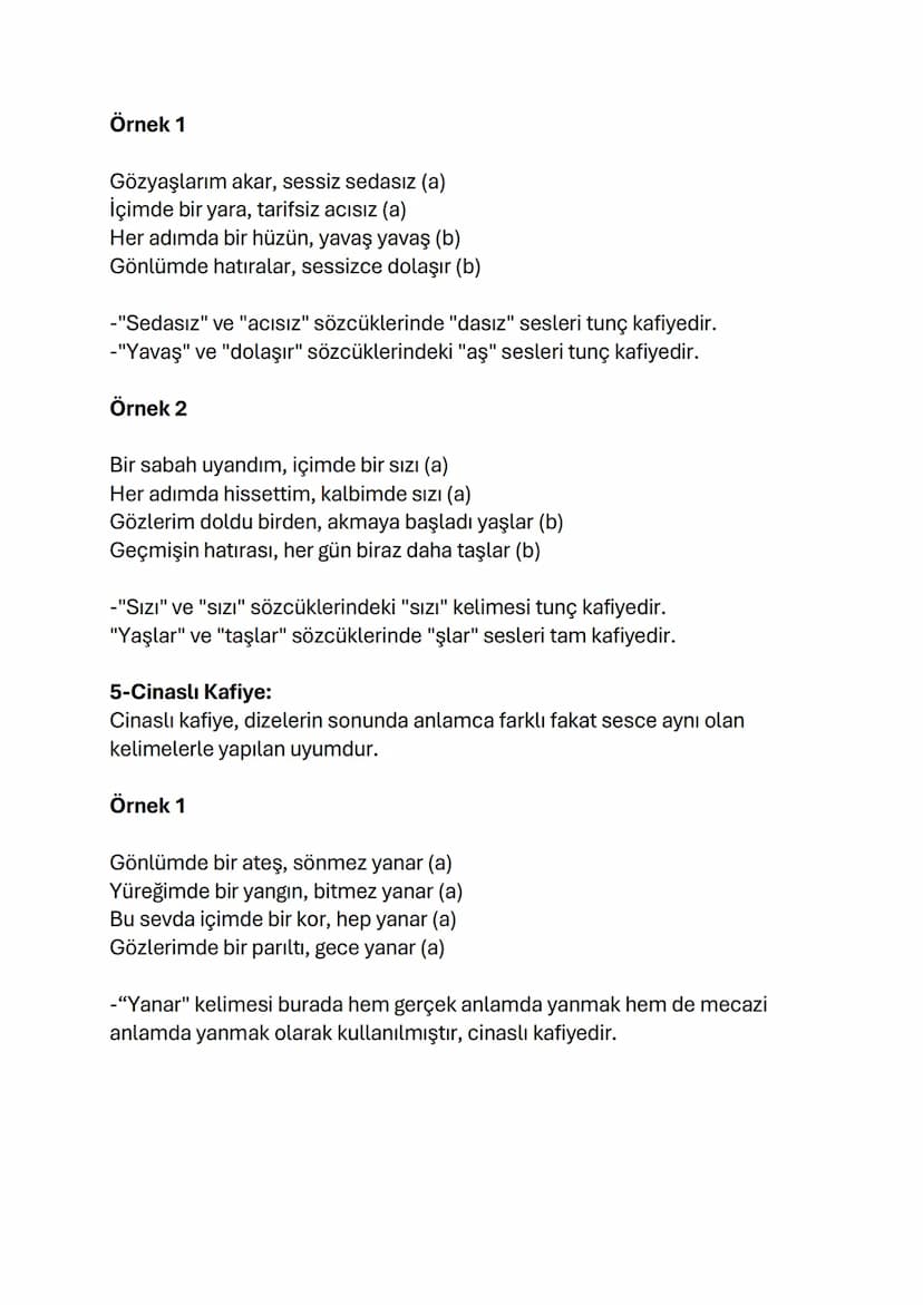 Kafiye Türleri ve Örnekleri
1-Yarım Kafiye: Yarım kafiye, dizelerin sonunda tek sesin uyum
göstermesiyle oluşur.
Örnek 1
Gökyüzünde yalnız g