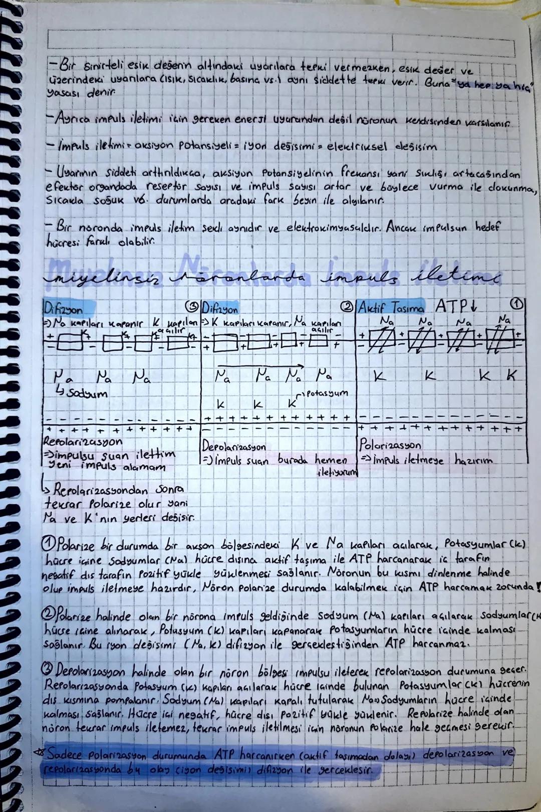 d-heronlarda impuls alusumu, iletime
la veya dis Gevreden gelen uyarılar, nöronda uyartı oluşumuna sebep olur.
- Uyartı nōronda hem elektriu