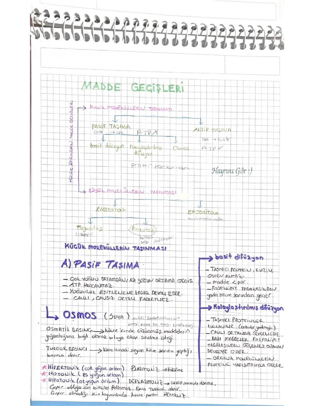 Hücre geçişleri biyoloji tyt konu anlatımı 