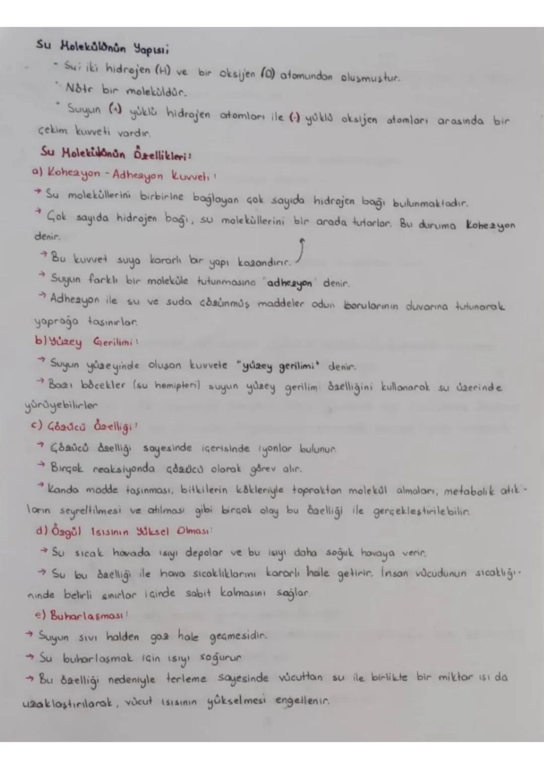 -Biyoloji
1 Unite: Yaşam Bilimi Biyoloji
1. Balam: Biyoloji ve Canlıların Ortak Özellikleri
Biyoloji: Canlıların yapılarını, yaşamsal faaliy