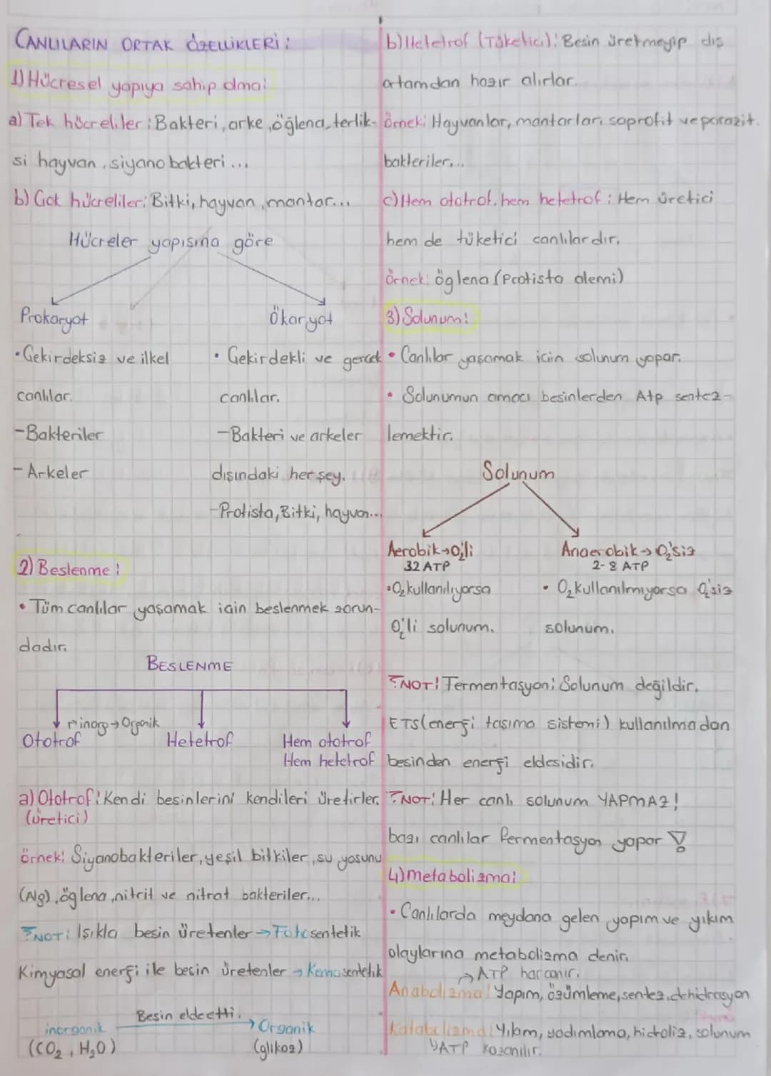 CANLILARIN ORTAK ÖZELLİKLERİ:
Hücresel
yapıya sahip dmai
b)lleletrof (Taketic): Besin üretmeyip dis
atamdan hazır alırlar.
a) Tek hücreliler