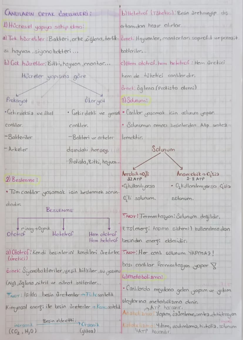 CANLILARIN ORTAK ÖZELLİKLERİ:
Hücresel
yapıya sahip dmai
b)lleletrof (Taketic): Besin üretmeyip dis
atamdan hazır alırlar.
a) Tek hücreliler