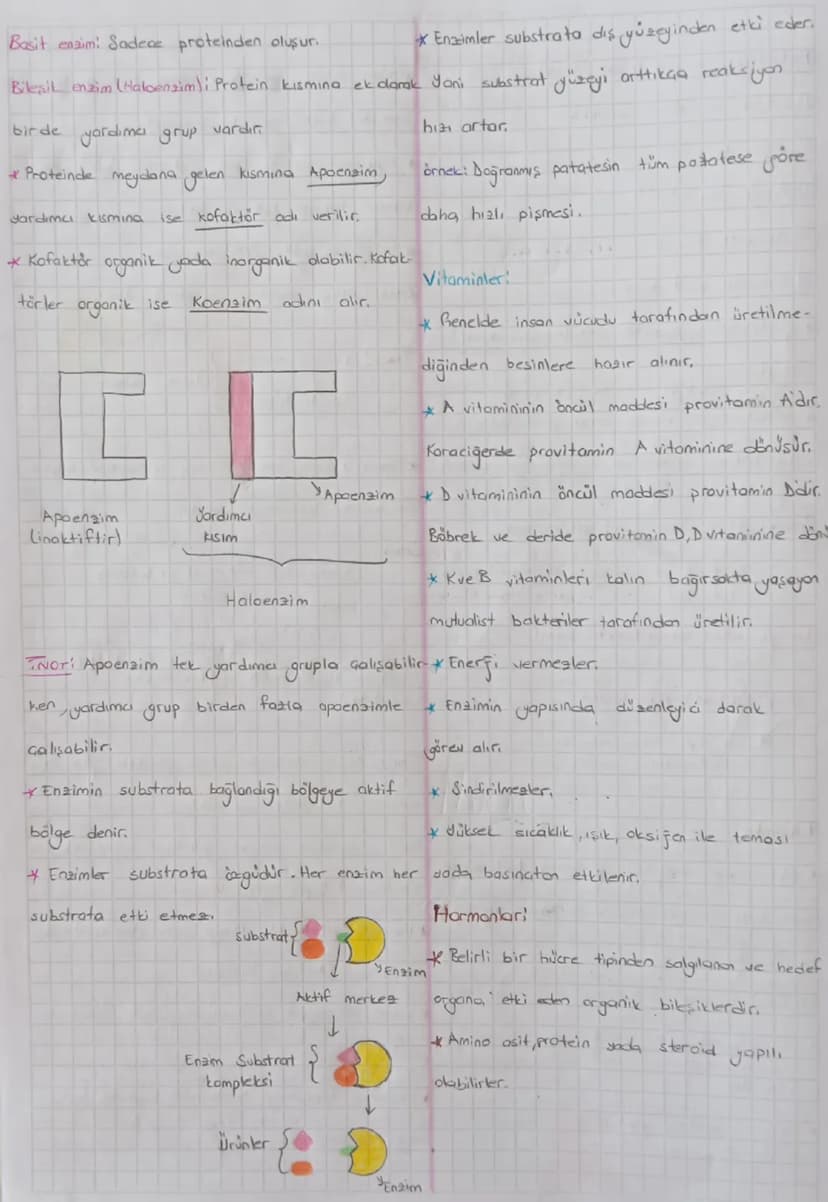 CANLILARIN ORTAK ÖZELLİKLERİ:
Hücresel
yapıya sahip dmai
b)lleletrof (Taketic): Besin üretmeyip dis
atamdan hazır alırlar.
a) Tek hücreliler