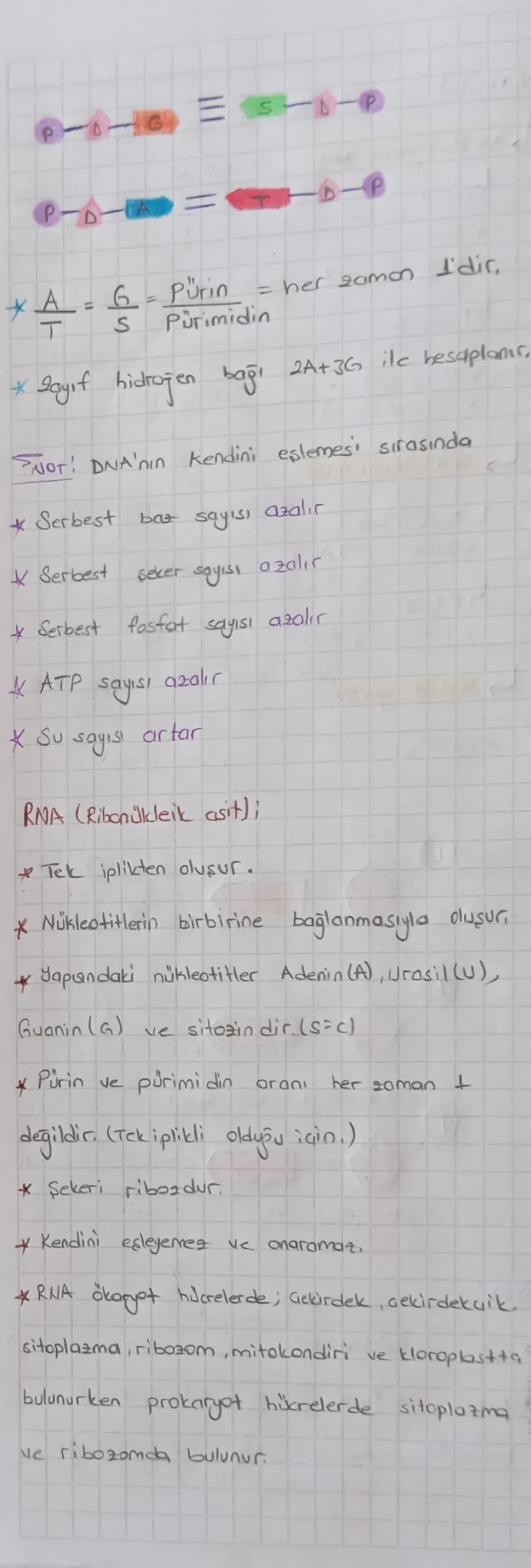 CANLILARIN ORTAK ÖZELLİKLERİ:
Hücresel
yapıya sahip dmai
b)lleletrof (Taketic): Besin üretmeyip dis
atamdan hazır alırlar.
a) Tek hücreliler