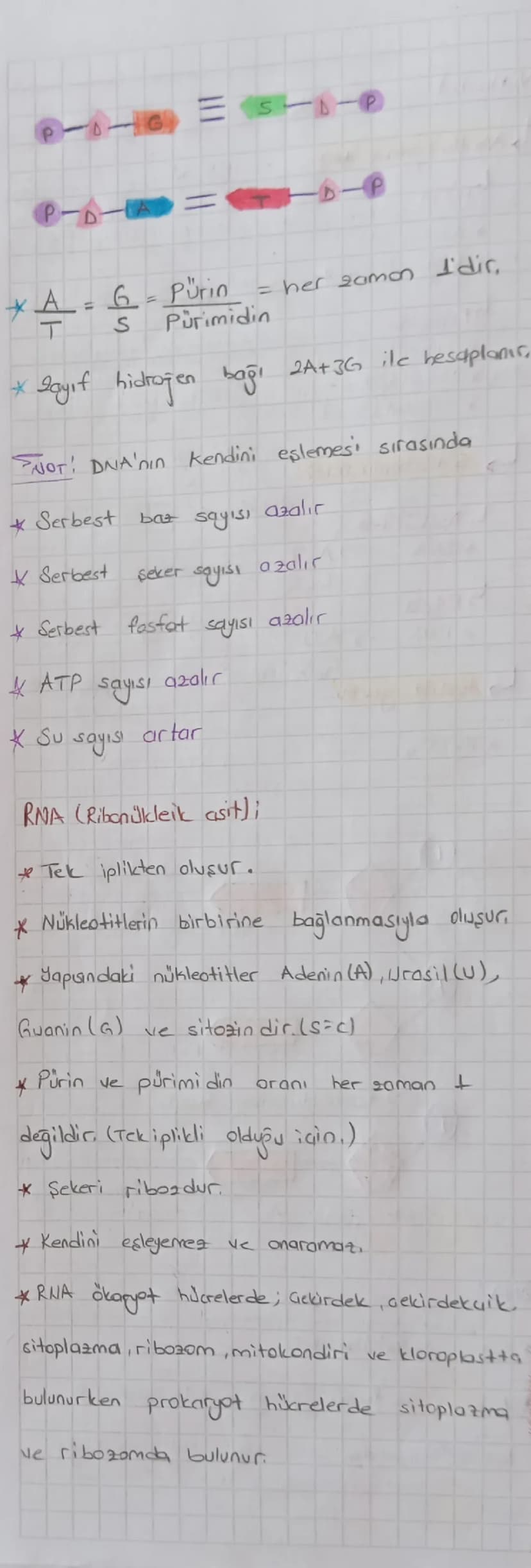 CANLILARIN ORTAK ÖZELLİKLERİ:
Hücresel
yapıya sahip dmai
b)lleletrof (Taketic): Besin üretmeyip dis
atamdan hazır alırlar.
a) Tek hücreliler