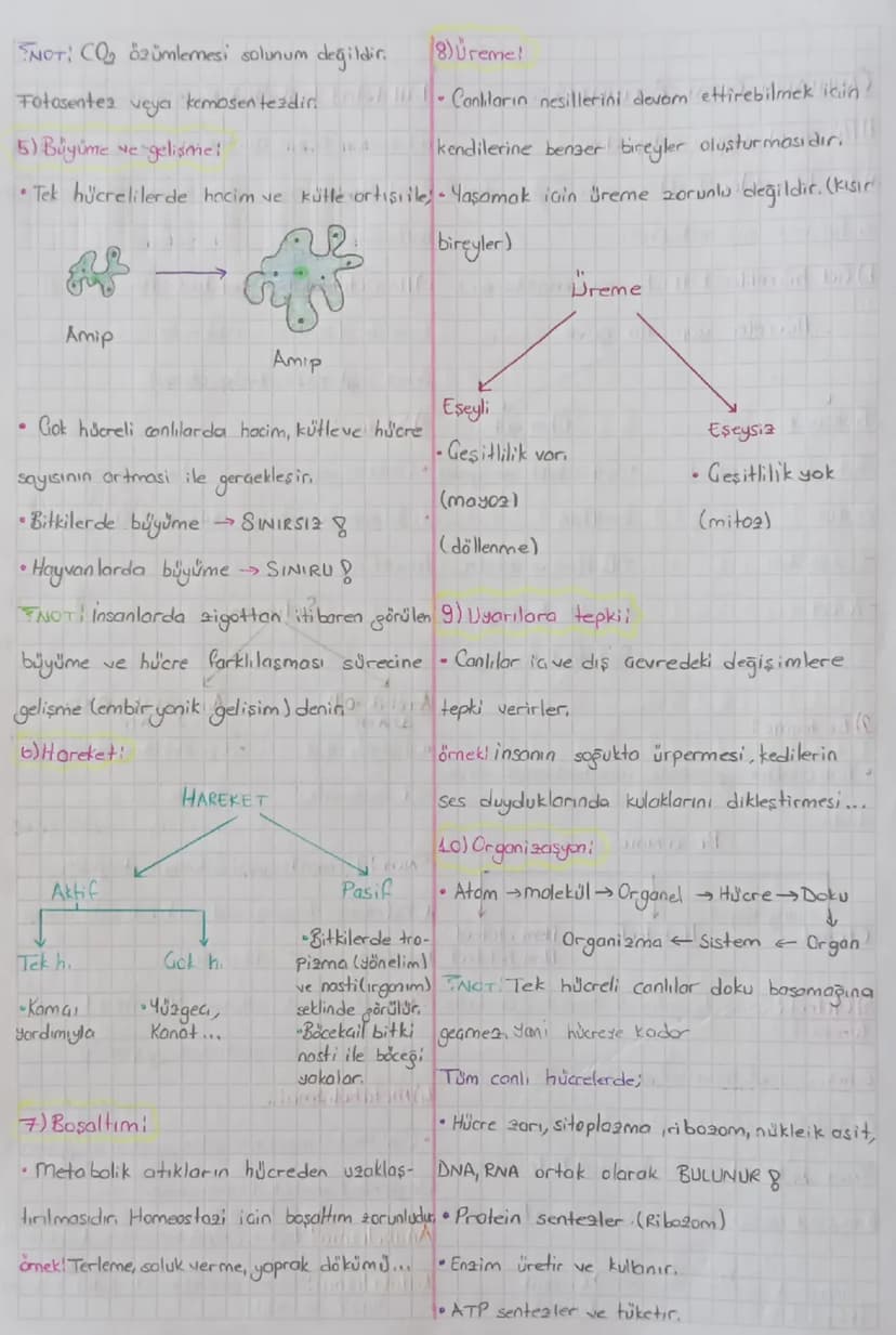 CANLILARIN ORTAK ÖZELLİKLERİ:
Hücresel
yapıya sahip dmai
b)lleletrof (Taketic): Besin üretmeyip dis
atamdan hazır alırlar.
a) Tek hücreliler