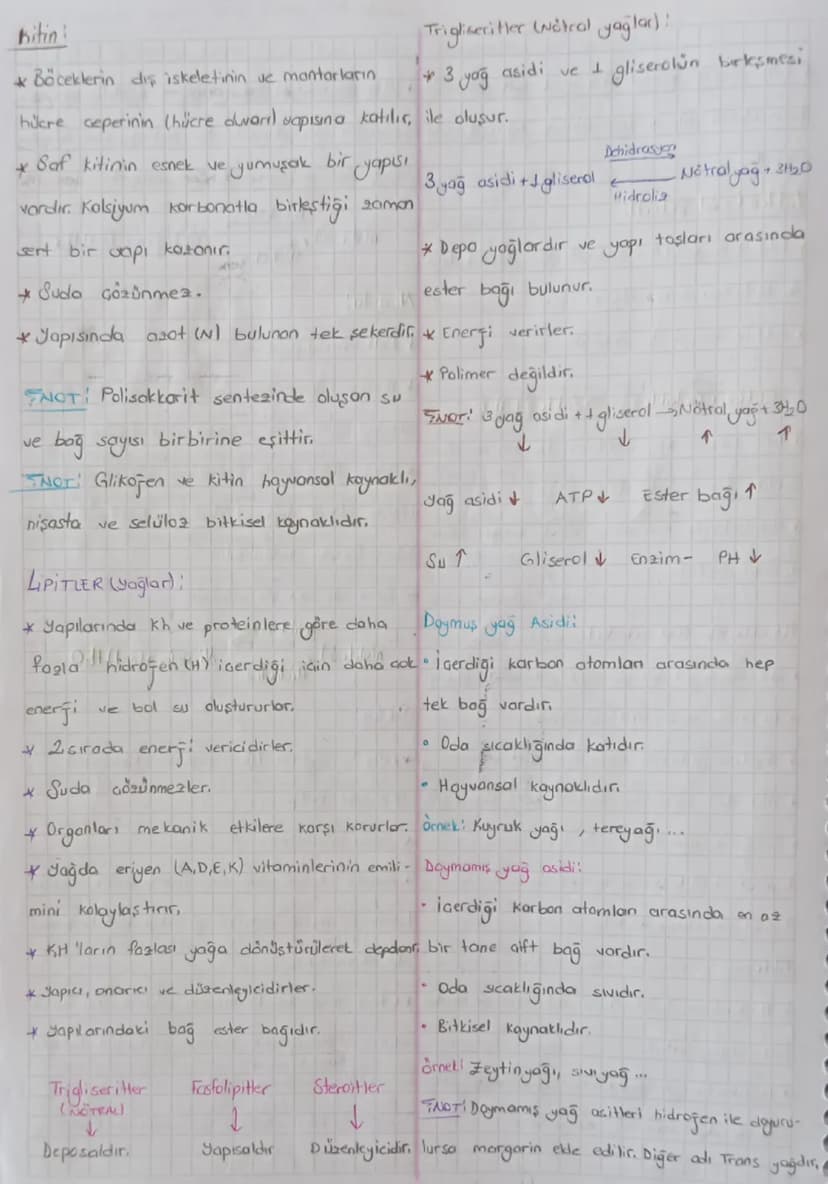 CANLILARIN ORTAK ÖZELLİKLERİ:
Hücresel
yapıya sahip dmai
b)lleletrof (Taketic): Besin üretmeyip dis
atamdan hazır alırlar.
a) Tek hücreliler