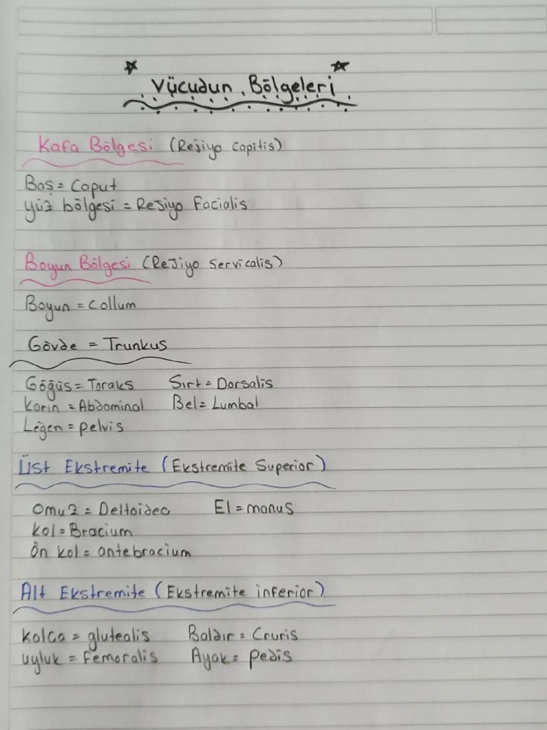 *
Vücudun, Bölgeleri

Kafa Bölgesi (Rejiyo Capitis)

Bas = Caput
yüz bölgesi = Resiyo Facialis

Boyun Bölgesi (Rejiyo Servicalis)

Boyun = c