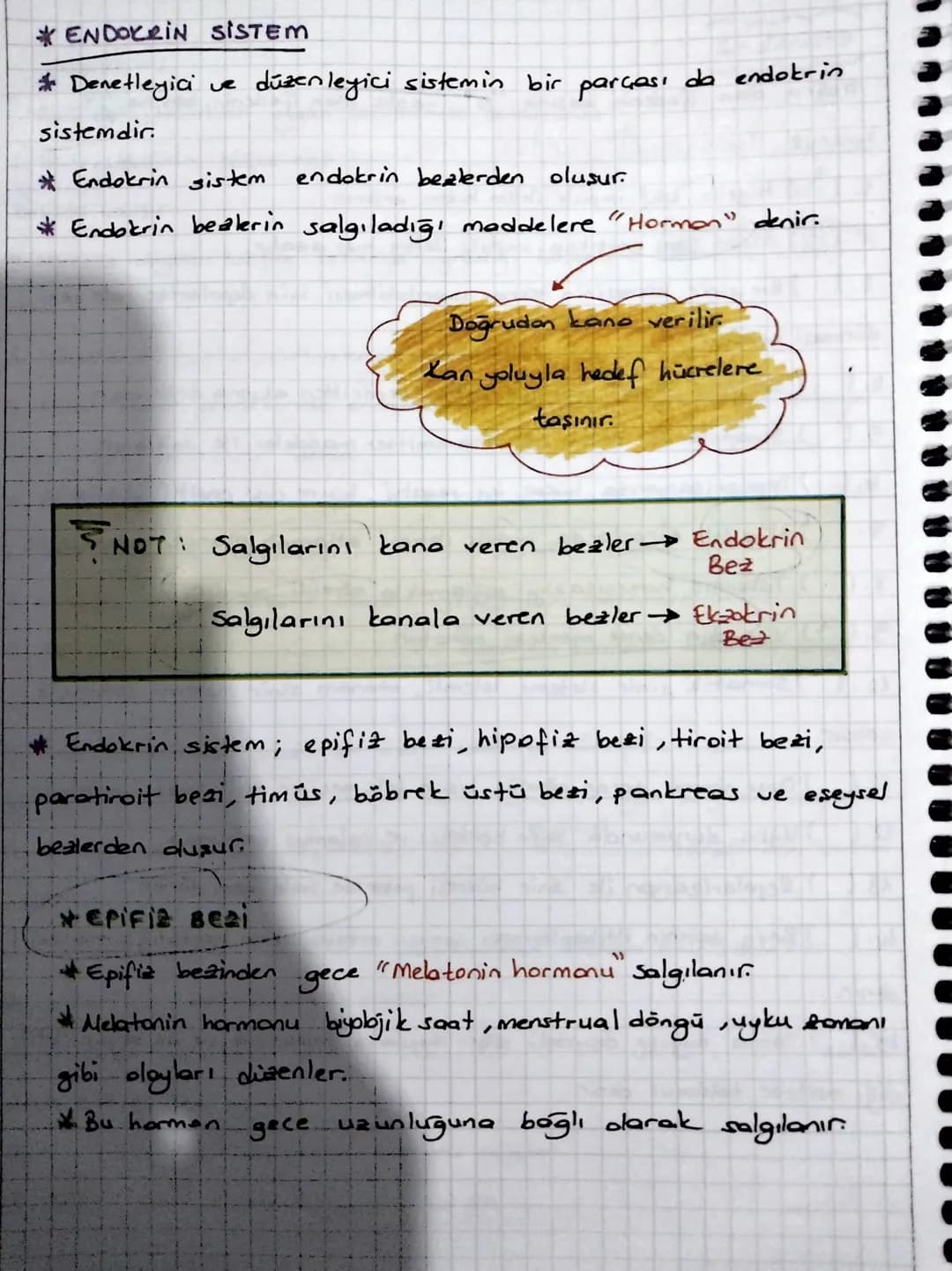 * ENDOKRIN SISTEM
Denetleyici ve düzenleyici sistemin bir parçası da endokrin
sistemdir.
Endokrin sistem
endokrin bezlerden oluşur.
*Endokri