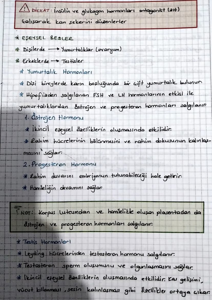 * ENDOKRIN SISTEM
Denetleyici ve düzenleyici sistemin bir parçası da endokrin
sistemdir.
Endokrin sistem
endokrin bezlerden oluşur.
*Endokri