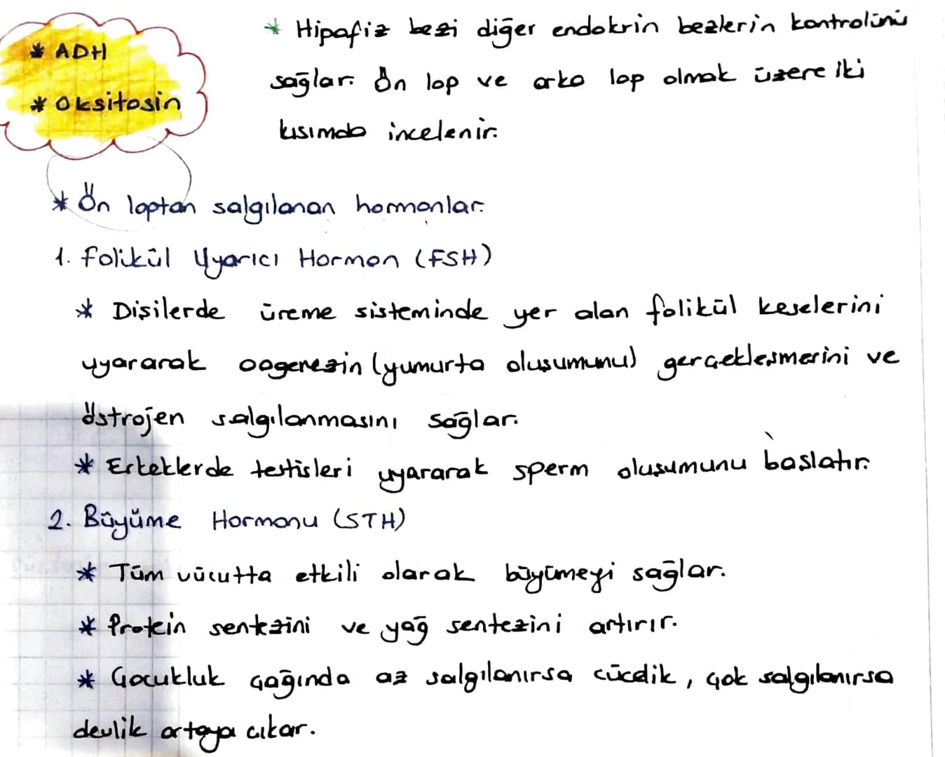 * ENDOKRIN SISTEM
Denetleyici ve düzenleyici sistemin bir parçası da endokrin
sistemdir.
Endokrin sistem
endokrin bezlerden oluşur.
*Endokri