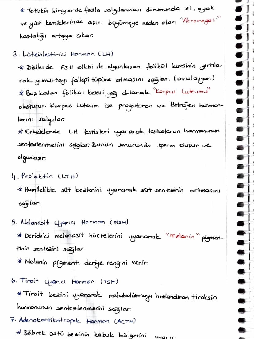 * ENDOKRIN SISTEM
Denetleyici ve düzenleyici sistemin bir parçası da endokrin
sistemdir.
Endokrin sistem
endokrin bezlerden oluşur.
*Endokri