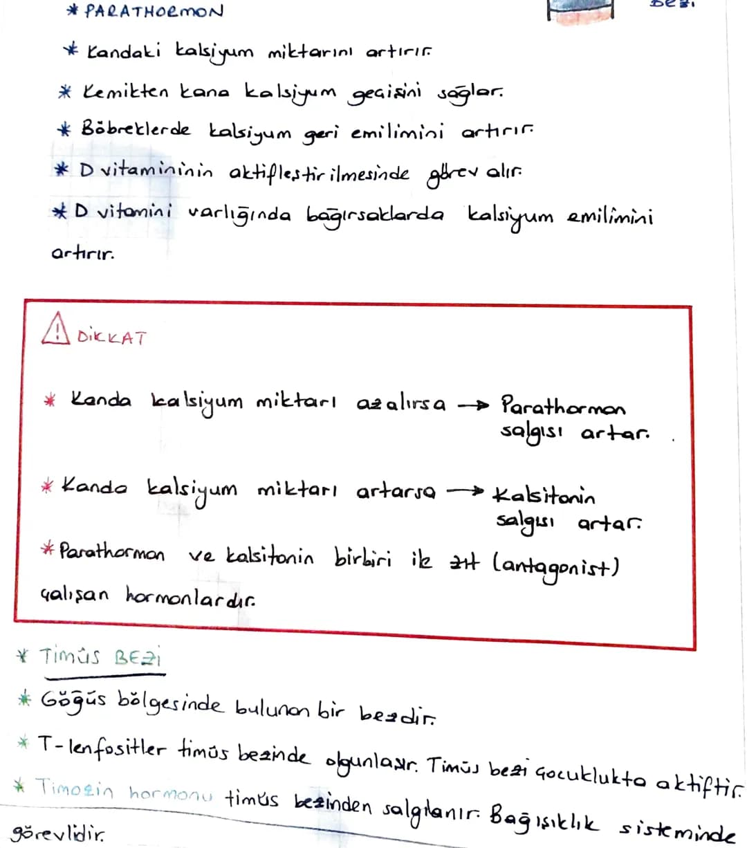 * ENDOKRIN SISTEM
Denetleyici ve düzenleyici sistemin bir parçası da endokrin
sistemdir.
Endokrin sistem
endokrin bezlerden oluşur.
*Endokri