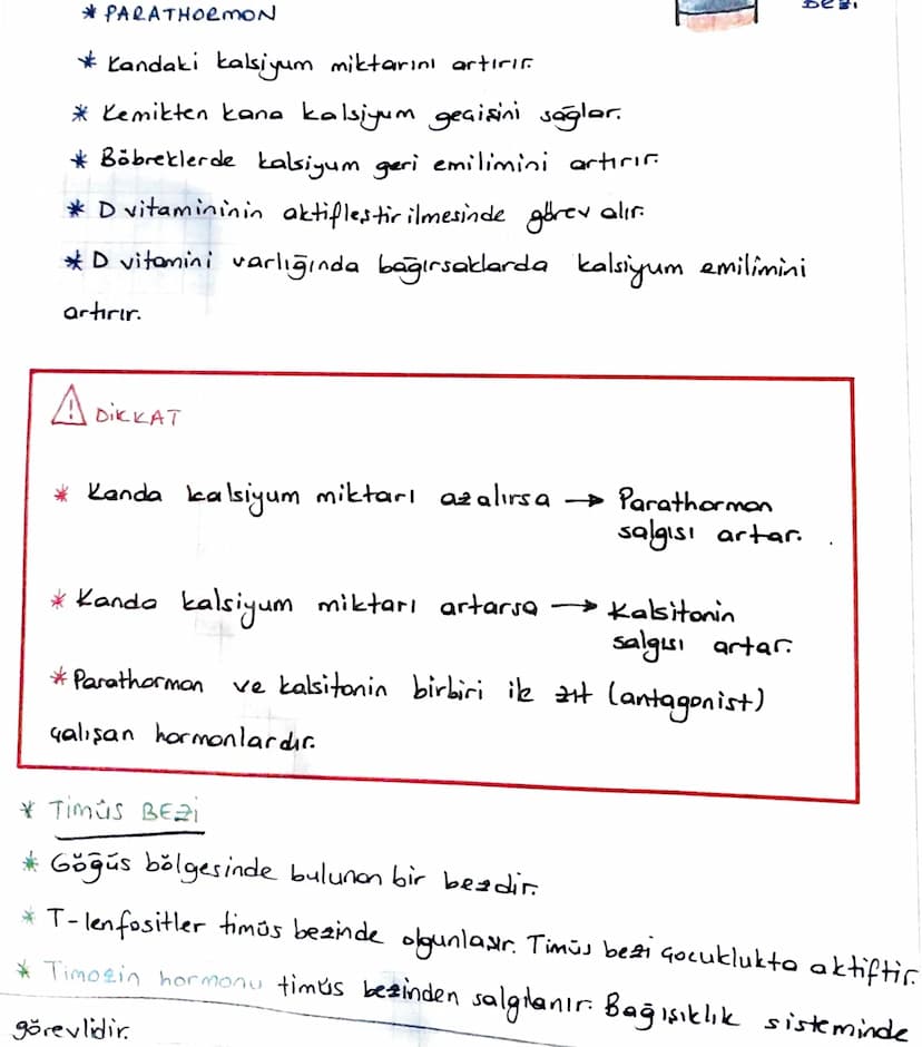 * ENDOKRIN SISTEM
Denetleyici ve düzenleyici sistemin bir parçası da endokrin
sistemdir.
Endokrin sistem
endokrin bezlerden oluşur.
*Endokri