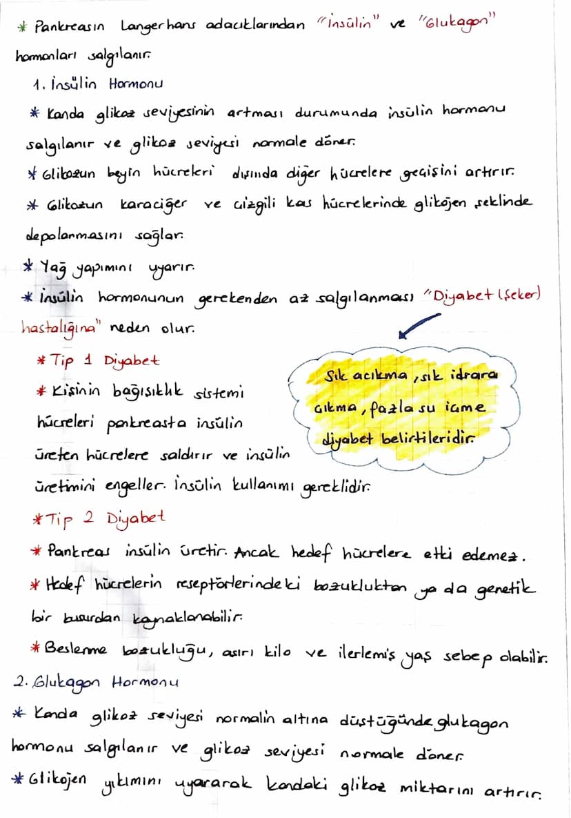 * ENDOKRIN SISTEM
Denetleyici ve düzenleyici sistemin bir parçası da endokrin
sistemdir.
Endokrin sistem
endokrin bezlerden oluşur.
*Endokri