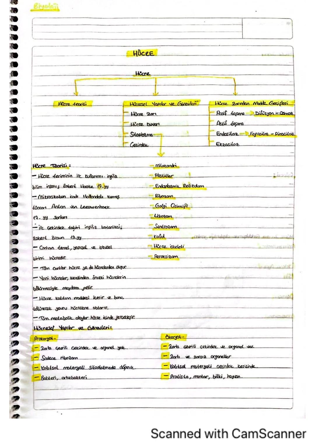 Biyola
HÜCRE
Hicre
Hücre teorisi
Hücresel Yapılar ve Görevleri
Hiere Zorından Made Geçişleri
Hücre 201
Pasif tasime
Difüzyon - Osmoz
Hücre D