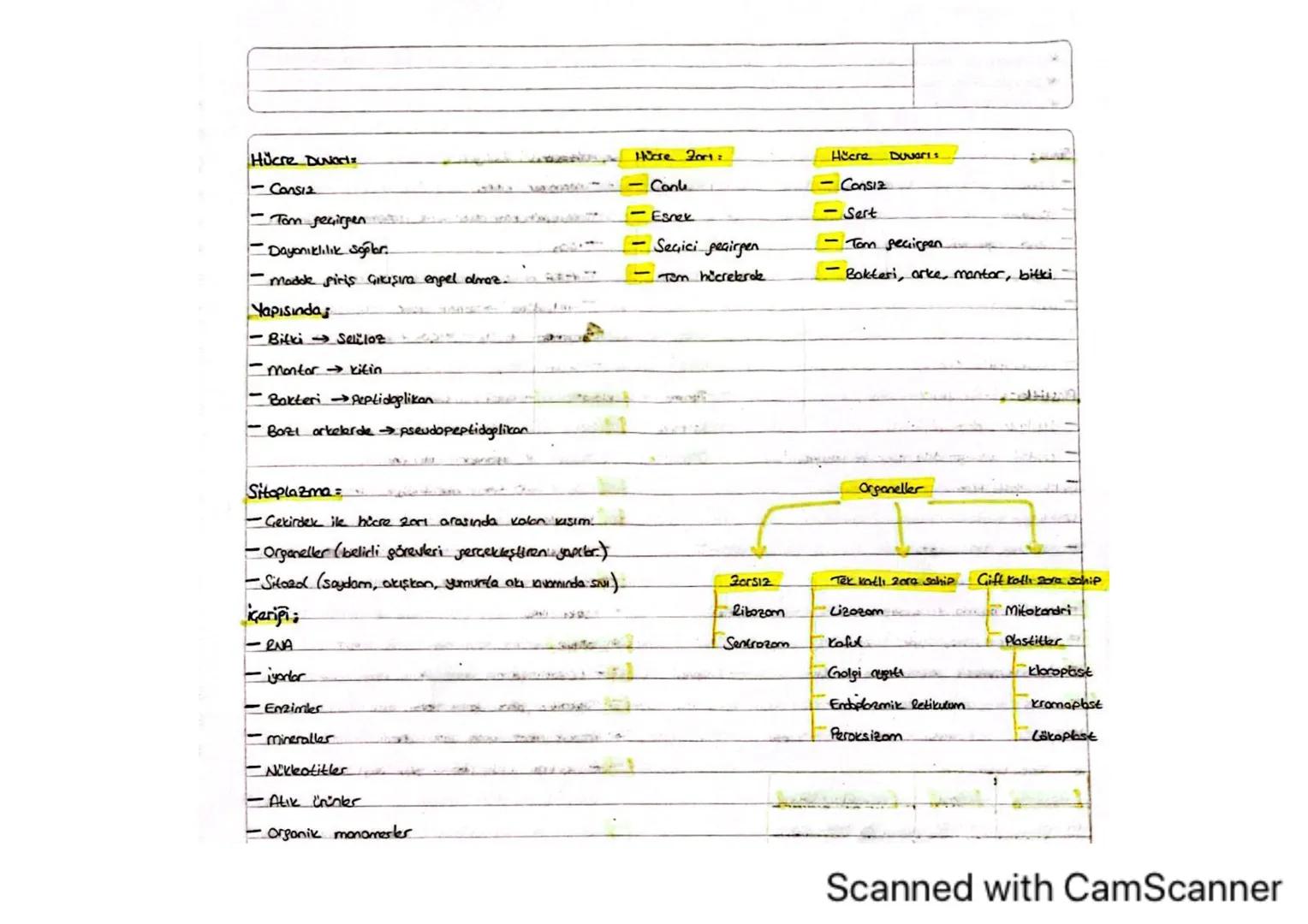 Biyola
HÜCRE
Hicre
Hücre teorisi
Hücresel Yapılar ve Görevleri
Hiere Zorından Made Geçişleri
Hücre 201
Pasif tasime
Difüzyon - Osmoz
Hücre D