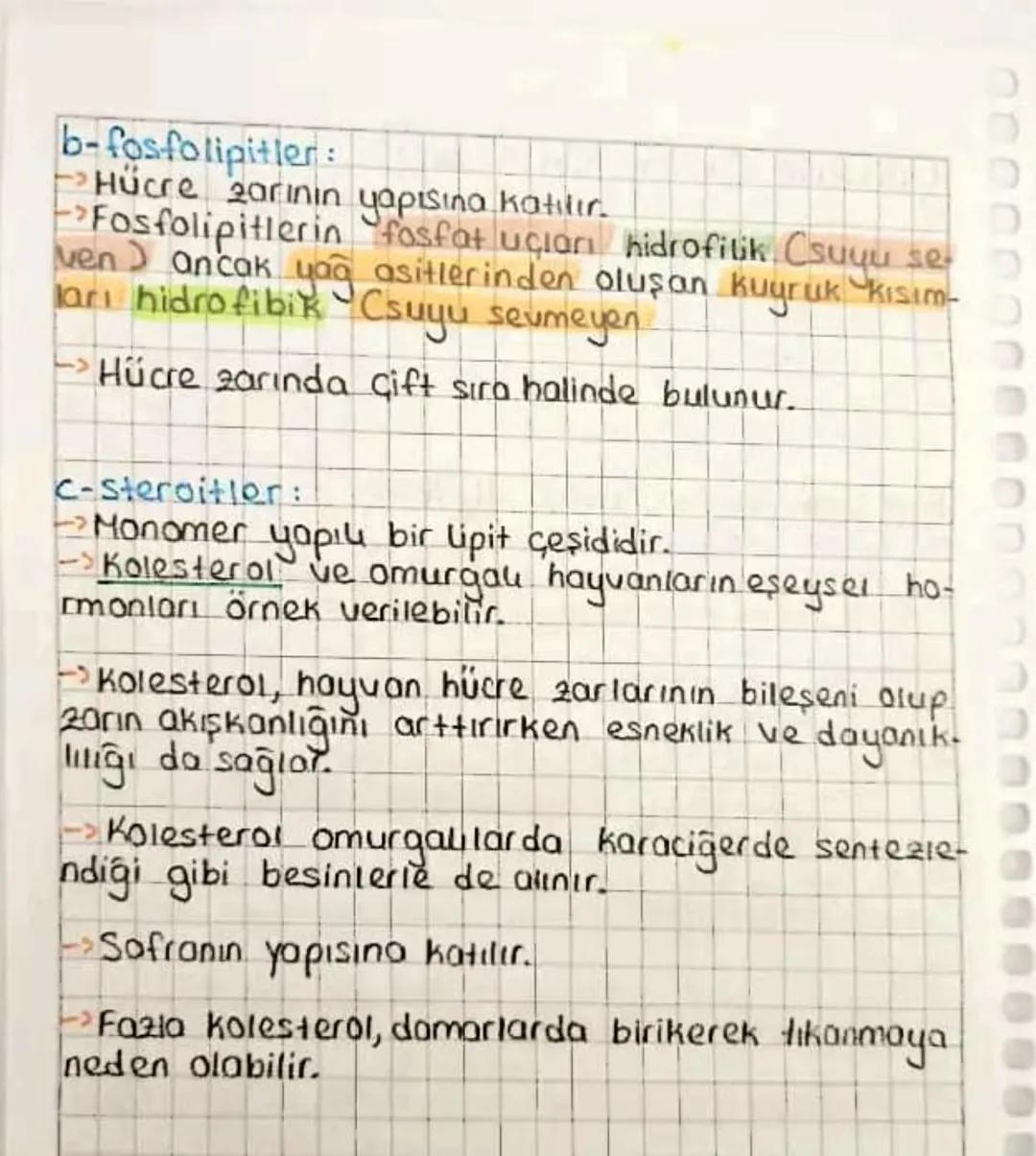 # BİYOLOJİ

Arinorganik Bileşikler:
- Su
- Asit
- Baz
- Tuz
- Mineral

CANLILARIN
YAPISINDA
BULUNAN
TEMEL BİLEŞİKLER

inorganik bileşikler, 