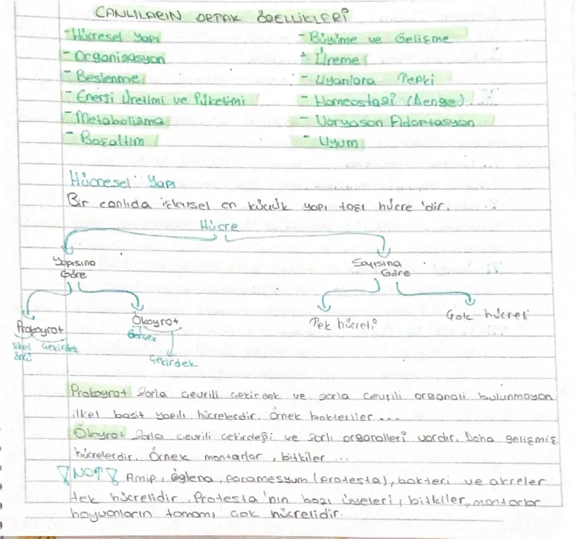 CANLILARIN ORTAK ÖRELLİKLERİ
Höresel Yapı
- Organizasyon
Beslenme
1- Energi Uretimi ve Pilketimi
Metabolisma
- Bosaltım.
- Büyüme ve Gelişme