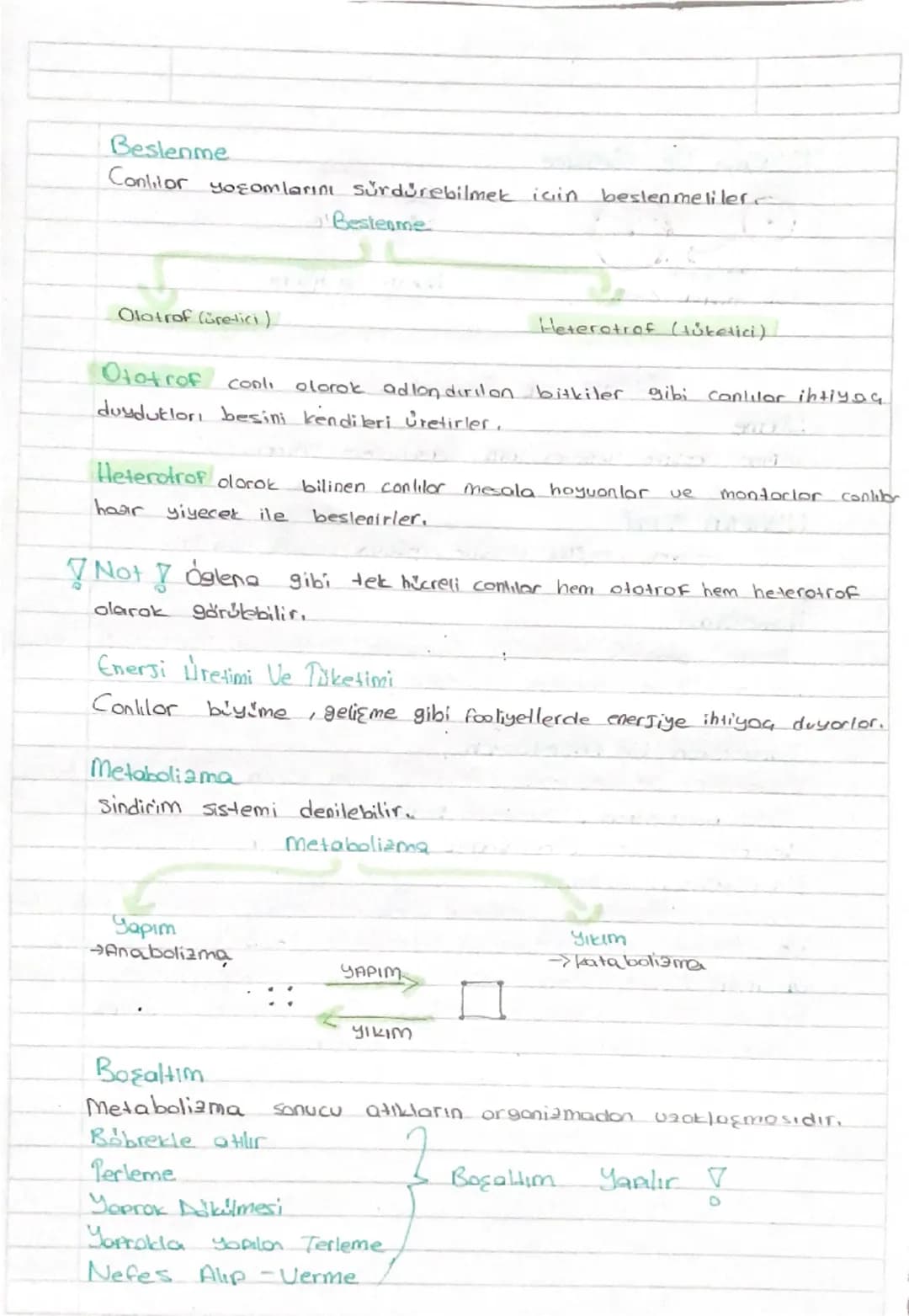 CANLILARIN ORTAK ÖRELLİKLERİ
Höresel Yapı
- Organizasyon
Beslenme
1- Energi Uretimi ve Pilketimi
Metabolisma
- Bosaltım.
- Büyüme ve Gelişme