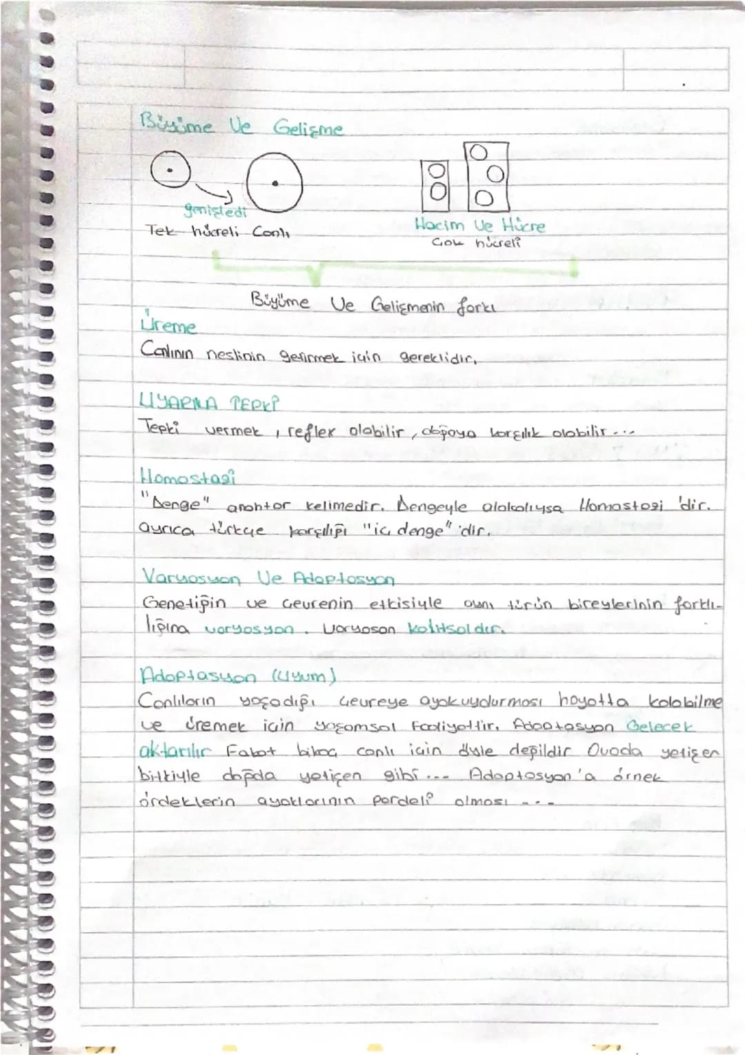 CANLILARIN ORTAK ÖRELLİKLERİ
Höresel Yapı
- Organizasyon
Beslenme
1- Energi Uretimi ve Pilketimi
Metabolisma
- Bosaltım.
- Büyüme ve Gelişme