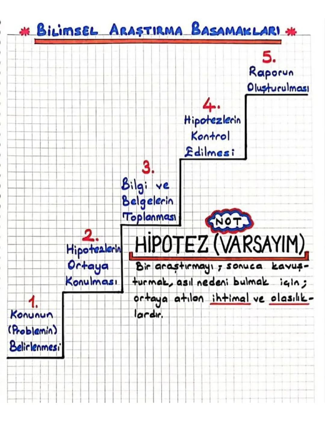 Bilimsel Araştırma Basamakları: Bir Rehber