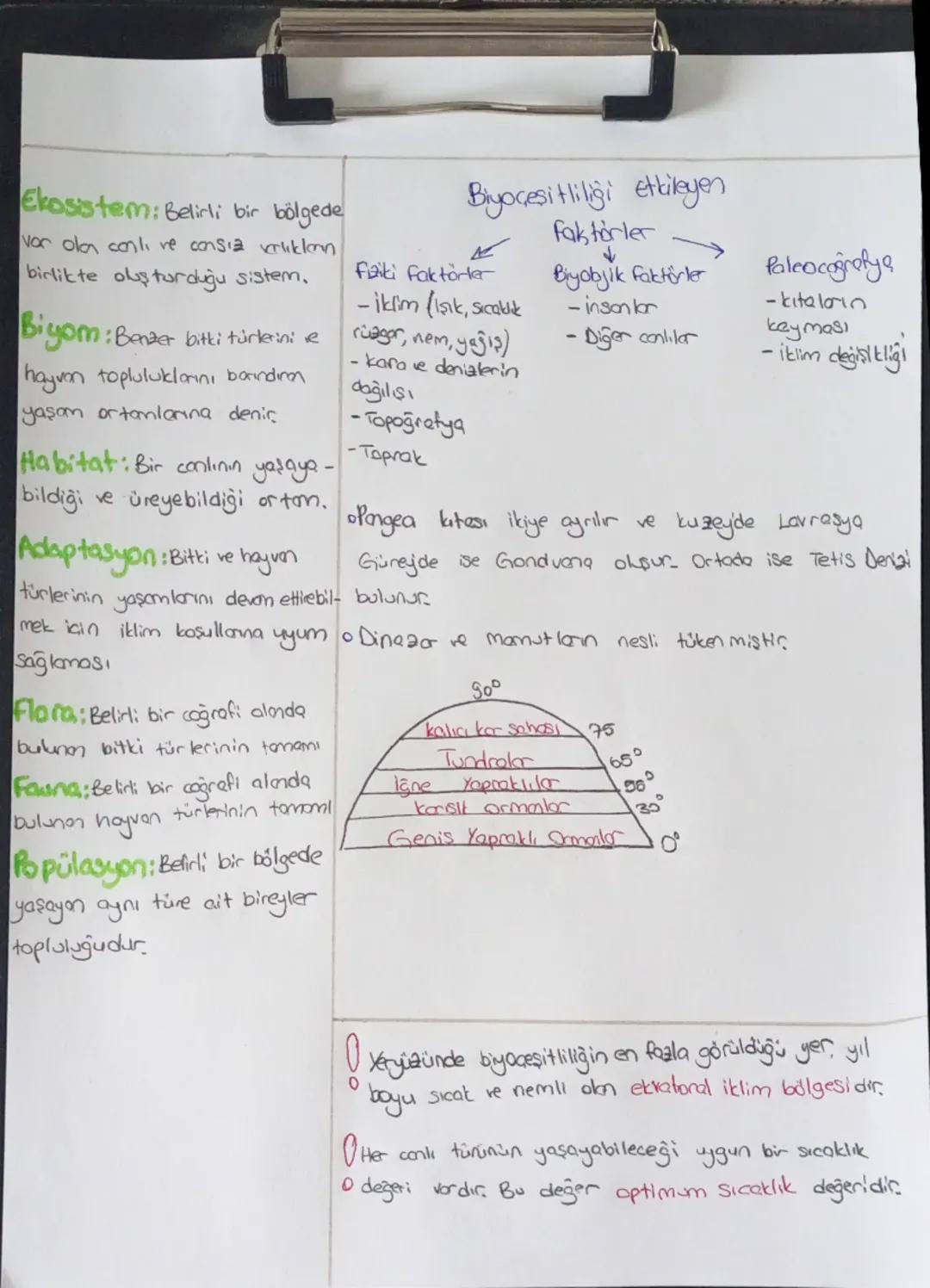 11. Sınıf Coğrafya Sınava Hazırlık